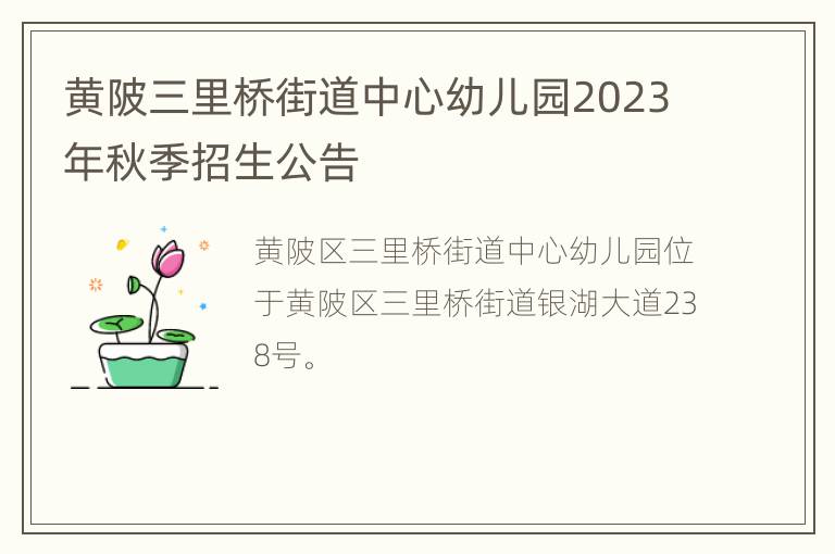 黄陂三里桥街道中心幼儿园2023年秋季招生公告