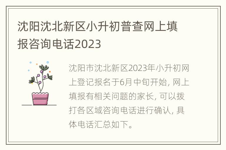 沈阳沈北新区小升初普查网上填报咨询电话2023