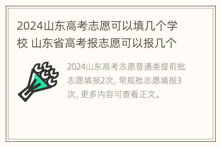 2024山东高考志愿可以填几个学校 山东省高考报志愿可以报几个学校和专业