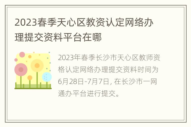 2023春季天心区教资认定网络办理提交资料平台在哪