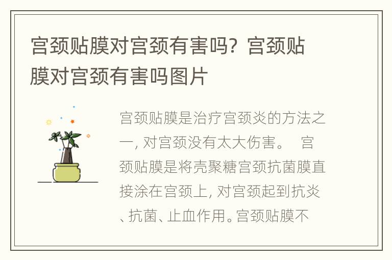 宫颈贴膜对宫颈有害吗？ 宫颈贴膜对宫颈有害吗图片