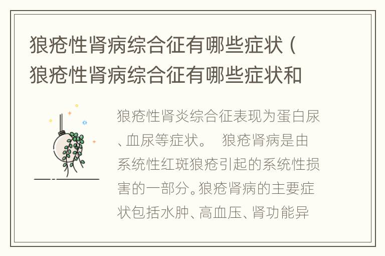 狼疮性肾病综合征有哪些症状（狼疮性肾病综合征有哪些症状和表现）