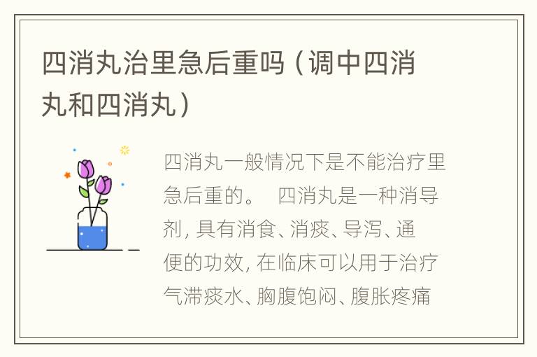 四消丸治里急后重吗（调中四消丸和四消丸）