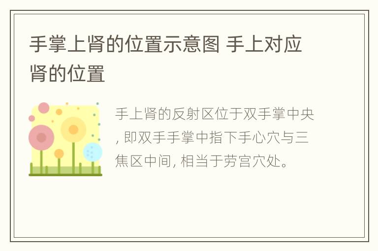 手掌上肾的位置示意图 手上对应肾的位置