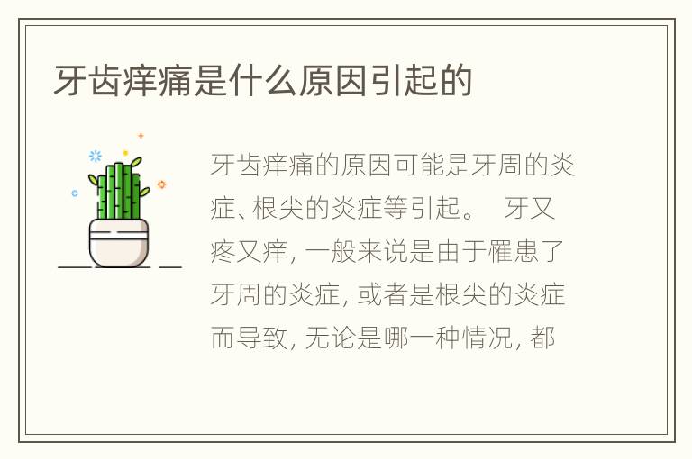 牙齿痒痛是什么原因引起的