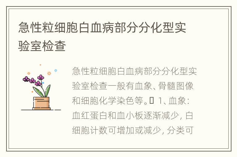 急性粒细胞白血病部分分化型实验室检查