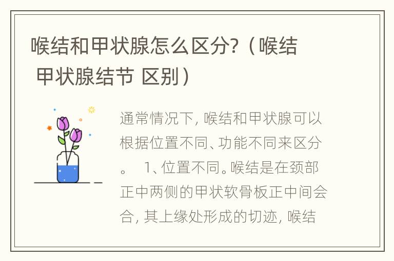 喉结和甲状腺怎么区分？（喉结 甲状腺结节 区别）