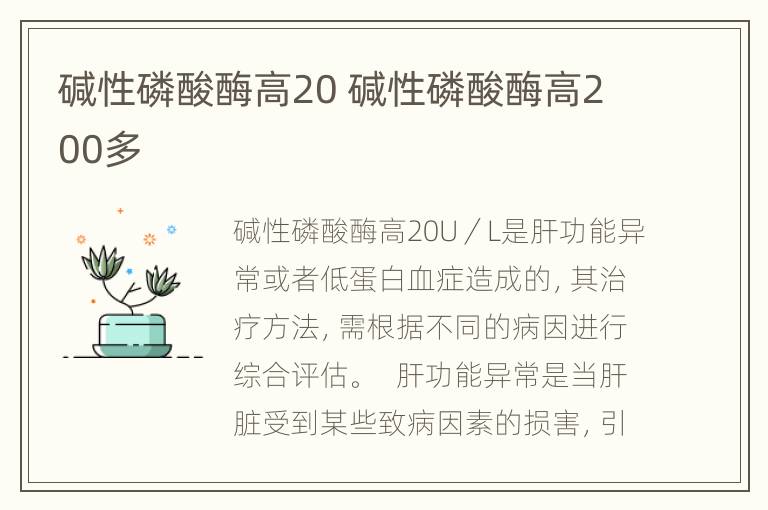 碱性磷酸酶高20 碱性磷酸酶高200多