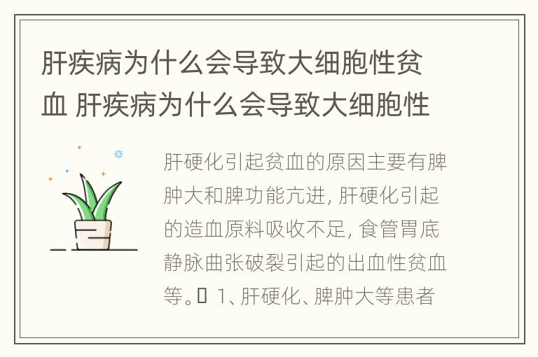 肝疾病为什么会导致大细胞性贫血 肝疾病为什么会导致大细胞性贫血