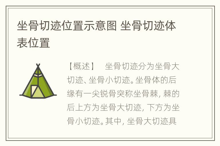 坐骨切迹位置示意图 坐骨切迹体表位置