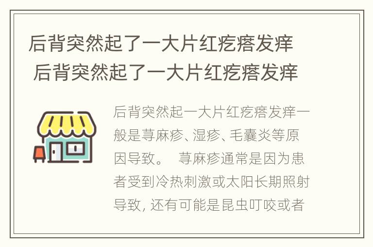 后背突然起了一大片红疙瘩发痒 后背突然起了一大片红疙瘩发痒