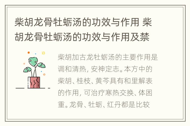 柴胡龙骨牡蛎汤的功效与作用 柴胡龙骨牡蛎汤的功效与作用及禁忌