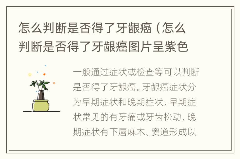 怎么判断是否得了牙龈癌（怎么判断是否得了牙龈癌图片呈紫色是）