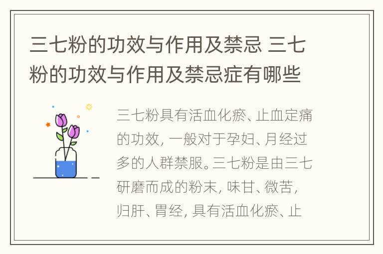 三七粉的功效与作用及禁忌 三七粉的功效与作用及禁忌症有哪些?