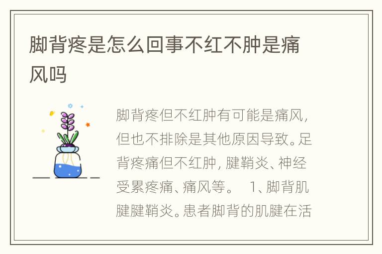 脚背疼是怎么回事不红不肿是痛风吗