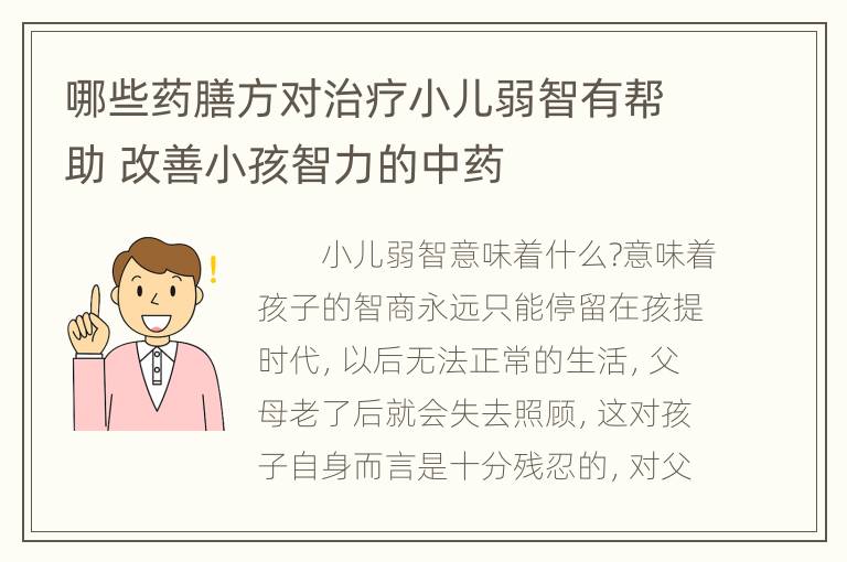 哪些药膳方对治疗小儿弱智有帮助 改善小孩智力的中药