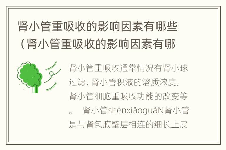 肾小管重吸收的影响因素有哪些（肾小管重吸收的影响因素有哪些呢）