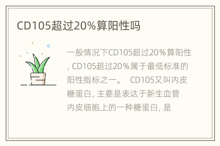 CD105超过20%算阳性吗