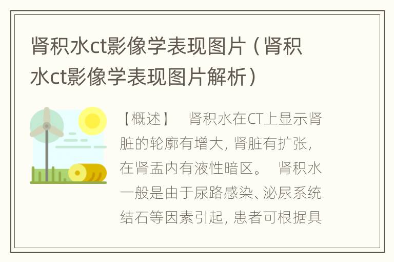 肾积水ct影像学表现图片（肾积水ct影像学表现图片解析）