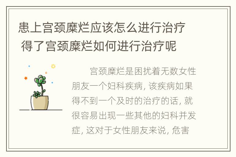 患上宫颈糜烂应该怎么进行治疗 得了宫颈糜烂如何进行治疗呢