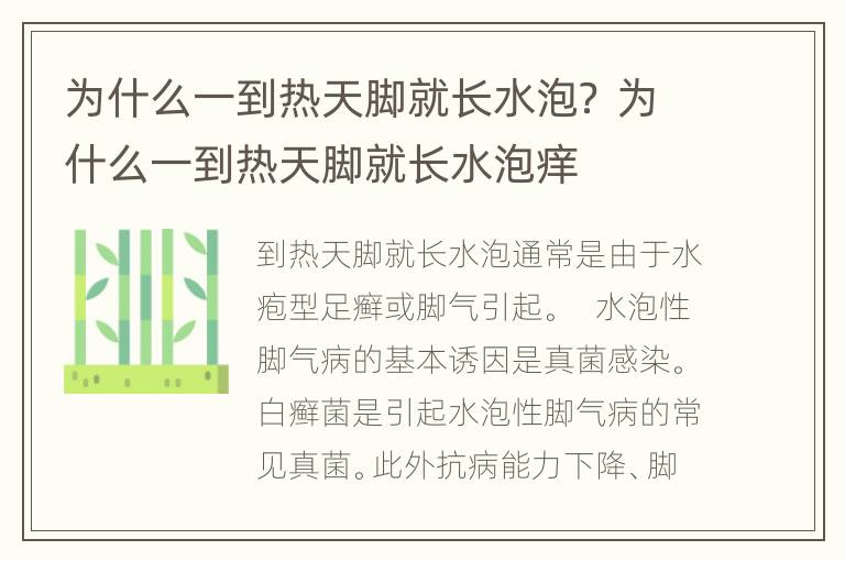 为什么一到热天脚就长水泡？ 为什么一到热天脚就长水泡痒