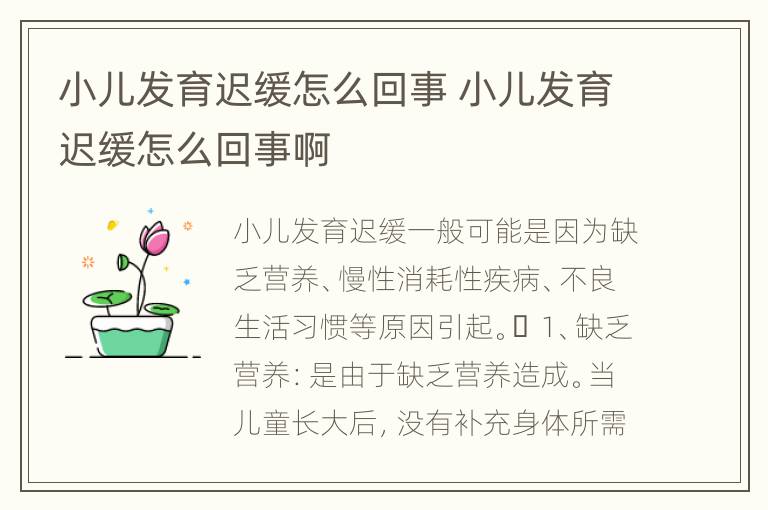 小儿发育迟缓怎么回事 小儿发育迟缓怎么回事啊