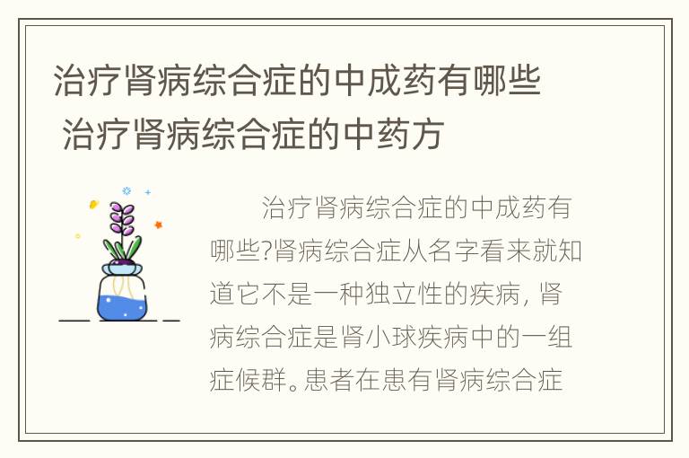 治疗肾病综合症的中成药有哪些 治疗肾病综合症的中药方