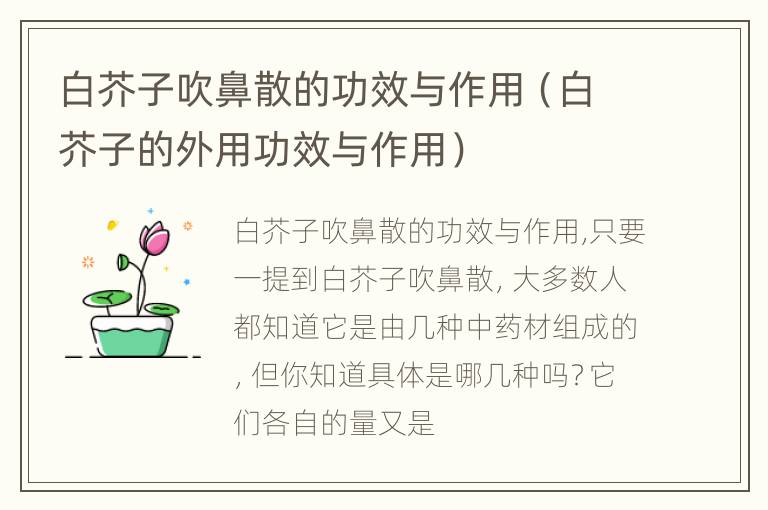 白芥子吹鼻散的功效与作用（白芥子的外用功效与作用）