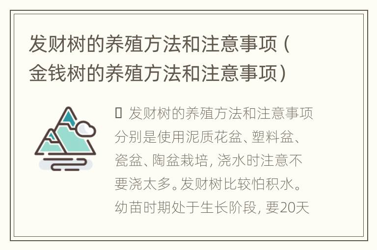 发财树的养殖方法和注意事项（金钱树的养殖方法和注意事项）