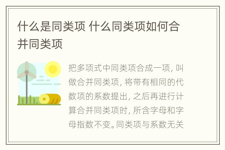 什么是同类项 什么同类项如何合并同类项