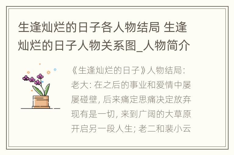 生逢灿烂的日子各人物结局 生逢灿烂的日子人物关系图_人物简介