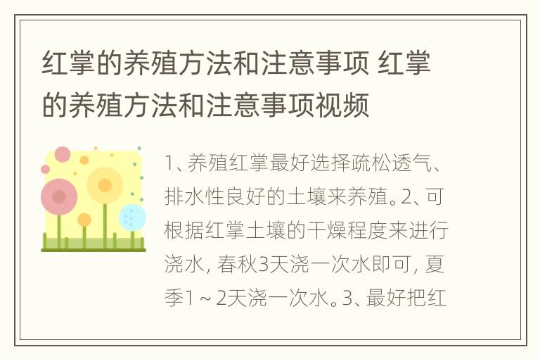 红掌的养殖方法和注意事项 红掌的养殖方法和注意事项视频