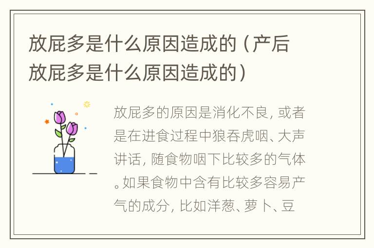 放屁多是什么原因造成的（产后放屁多是什么原因造成的）