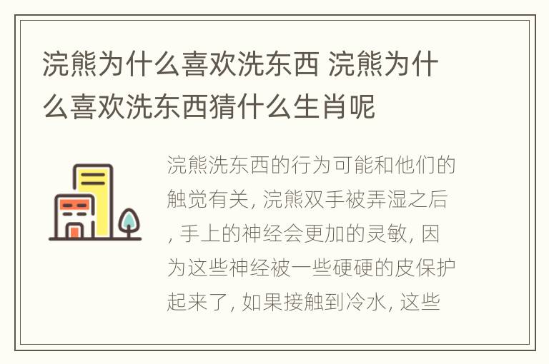 浣熊为什么喜欢洗东西 浣熊为什么喜欢洗东西猜什么生肖呢