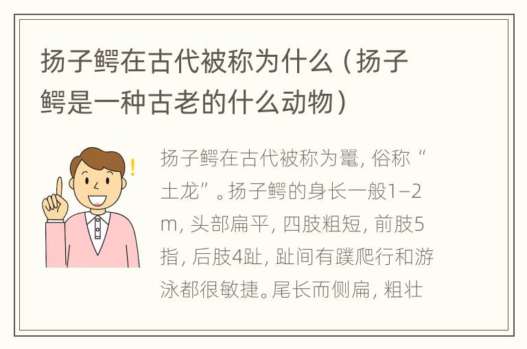 扬子鳄在古代被称为什么（扬子鳄是一种古老的什么动物）