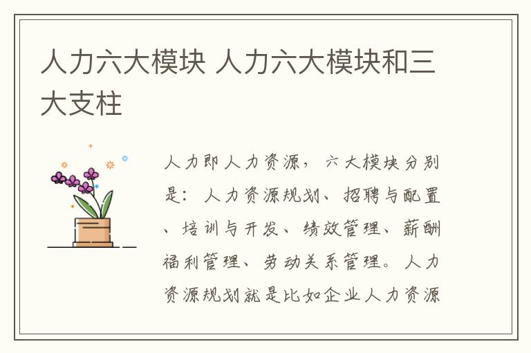 人力六大模块 人力六大模块和三大支柱