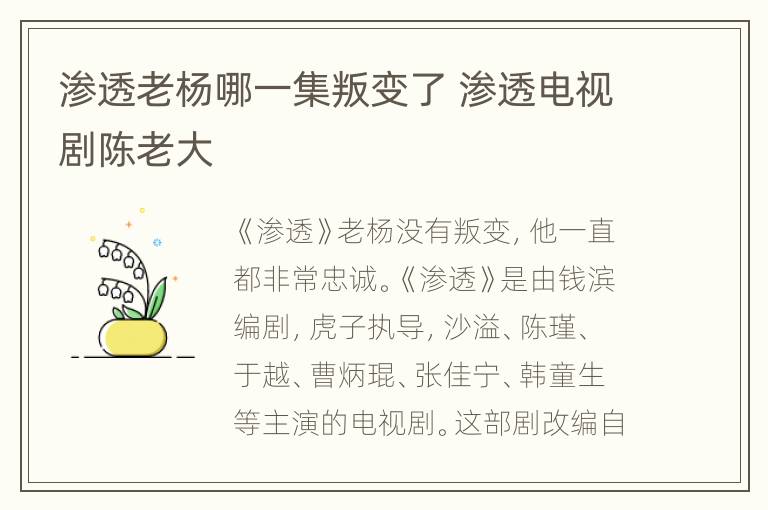 渗透老杨哪一集叛变了 渗透电视剧陈老大