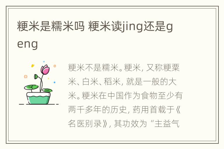 粳米是糯米吗 粳米读jing还是geng