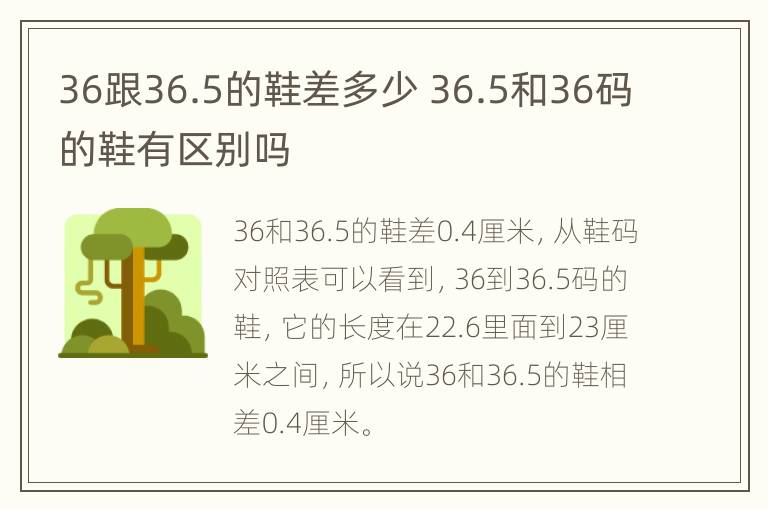 36跟36.5的鞋差多少 36.5和36码的鞋有区别吗