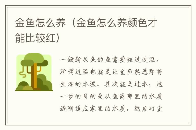 金鱼怎么养（金鱼怎么养颜色才能比较红）