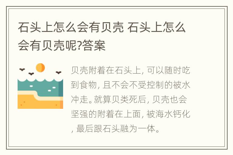 石头上怎么会有贝壳 石头上怎么会有贝壳呢?答案