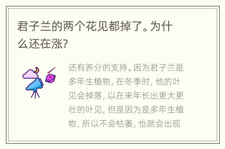 君子兰的两个花见都掉了。为什么还在涨?