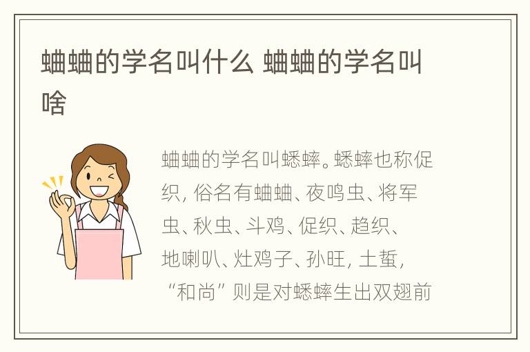 蛐蛐的学名叫什么 蛐蛐的学名叫啥