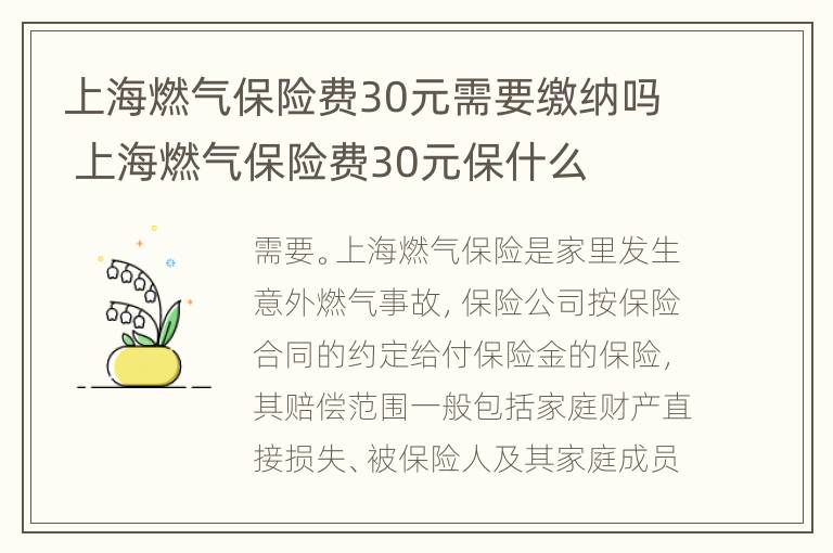 上海燃气保险费30元需要缴纳吗 上海燃气保险费30元保什么