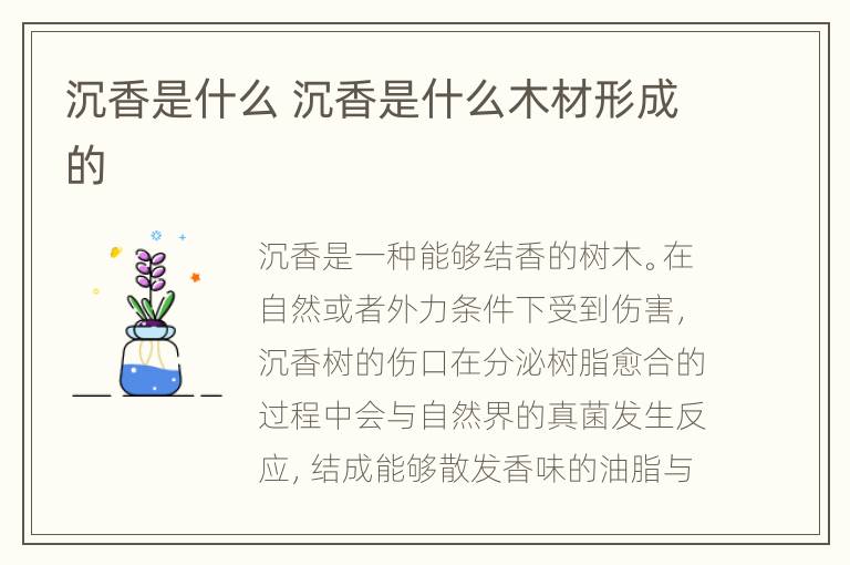 沉香是什么 沉香是什么木材形成的