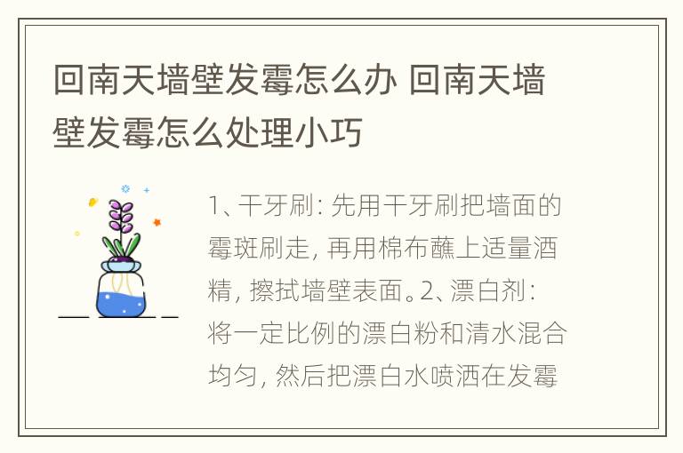 回南天墙壁发霉怎么办 回南天墙壁发霉怎么处理小巧