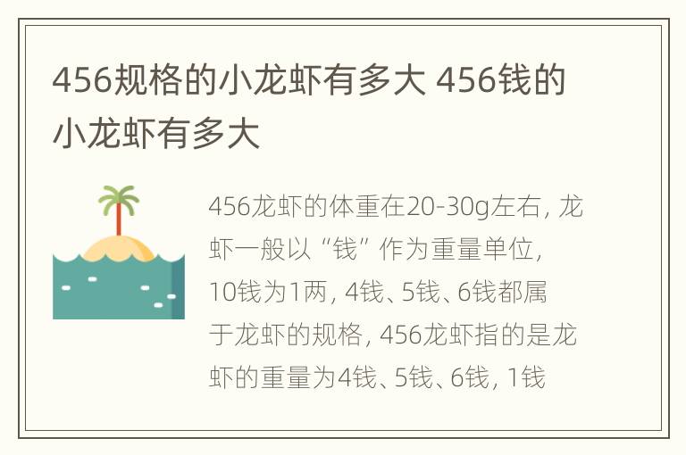 456规格的小龙虾有多大 456钱的小龙虾有多大