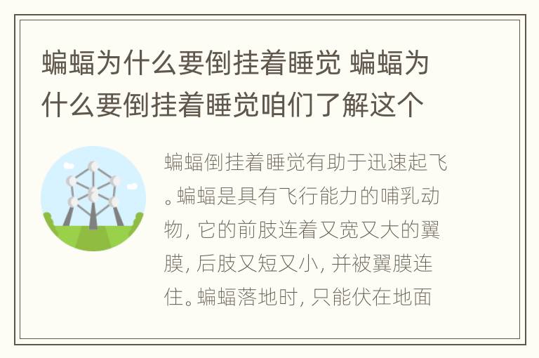 蝙蝠为什么要倒挂着睡觉 蝙蝠为什么要倒挂着睡觉咱们了解这个问题