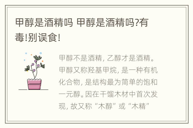 甲醇是酒精吗 甲醇是酒精吗?有毒!别误食!