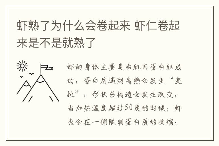 虾熟了为什么会卷起来 虾仁卷起来是不是就熟了